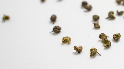 varies seasoning scattered in white background, pepper,shirmp,salt,curry,