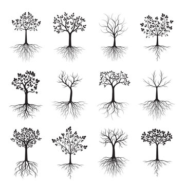 Black shape of Tree with Leaves and Roots. Vector Illustration.
