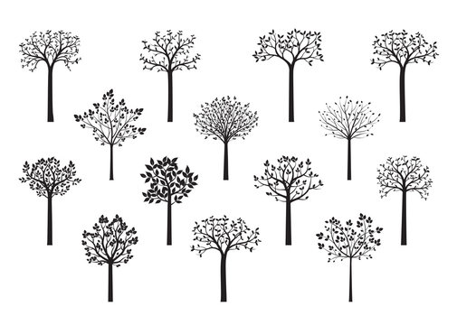  Trees in Park. Plants in Garden. Vector Illustration.