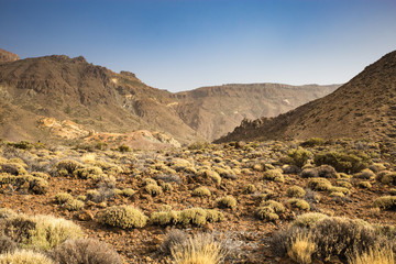 Volcanic Landscape with Bushes in front of Mountains in Teide Nation Park, Tenerife, Spain, Europe