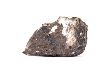 Owl - Bird of prey, dropping