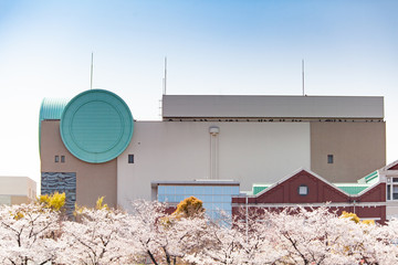 大阪造幣局と桜