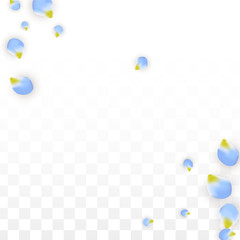Vector Realistic Blue Petals Falling on Transparent Background.  Spring Romantic Flowers Illustration. Flying Petals. Sakura Spa Design. Blossom Confetti.