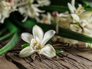 Dried vanilla sticks and vanilla orchid on wooden table.