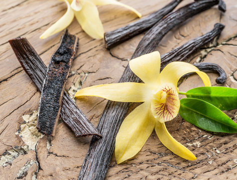 Dried vanilla fruits and vanilla orchid on wooden table.