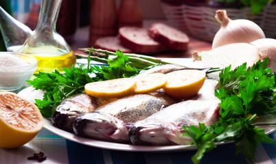 Image of freshness trout and vegetables