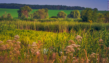 Obraz premium Morning on a river