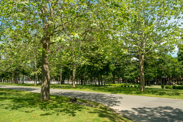 公園風景