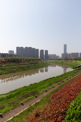 Fototapeta premium waterway with buildings behind and flowers