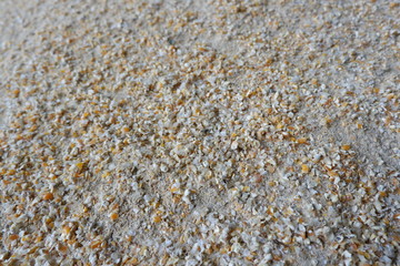 a mixture of corn and bran, for animal feed