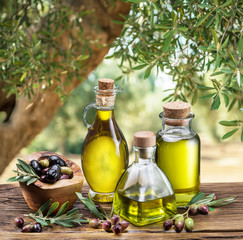 Olive oil and berries are on the wooden table under the olive tree.