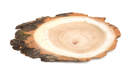A slice of acacia wood representing profile of cut tree.