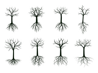 Black shape of Tree without Leaves and Roots. Vector Illustration.