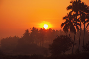 Sunset In The Horizon