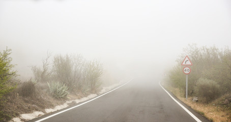 Summer road of free space and fog 