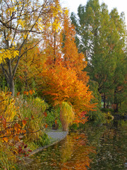Naklejka premium Münchner Westpark im Herbst