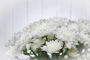 Large bouquet of white chrysanthemums with green stalks stands against a white wooden wall