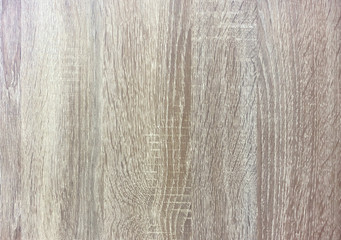 Wood texture. Background for design and decoration.