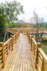 Wooden bridge and park background