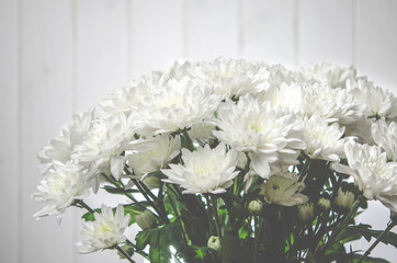Large bouquet of white chrysanthemums with green stalks stands against a white wooden wall