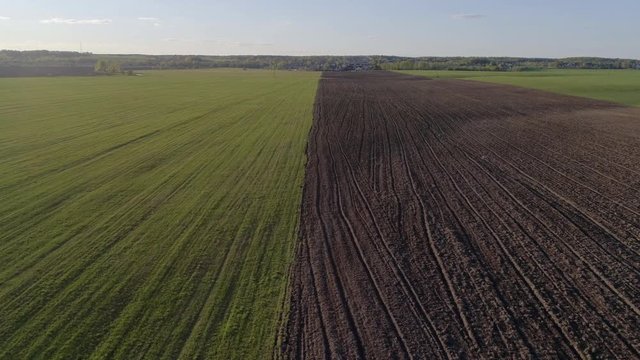 Aerial photography: countryside, green meadow and plowed black field, black soil, the camera flies along the border of the field and the earth, at sunset in spring/summer
