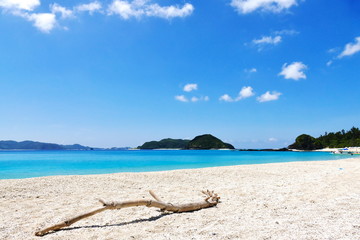 Tropical paradise of a branch on white sand, turquoise sea and deep blue sunny sky at Zamami, Okinawa, Japan