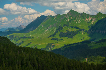 Fototapeta na wymiar Summer time landscape in Switzerland
