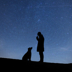 Hund und Herrli bei Nacht