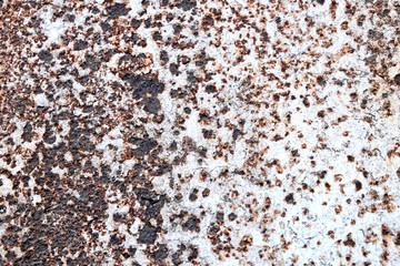 Abstract grunge textures. Surface of rusty metal. Texture or background.