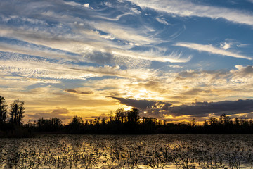 Obraz na płótnie Canvas Okefenokee swamp sunset