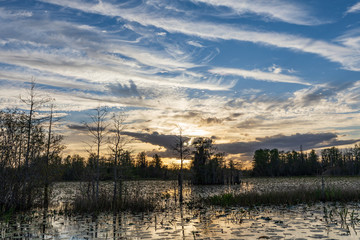 Fototapeta na wymiar Okefenokee swamp sunset