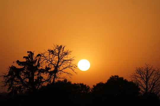 Sunset with trees