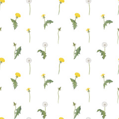 seamless floral background with flowers Dandelion spring flowers pattern