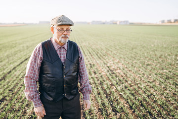 Adult farmer checking plants on his farm.