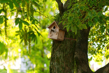 Vogelhaus in Japan