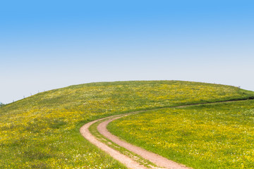 Landscape Collage Template