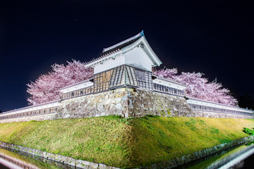 長岡京の勝竜寺城と桜