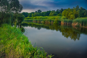 Morning on a river