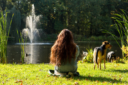 A girl relaxing in the grass at a pond with 2 dogs.