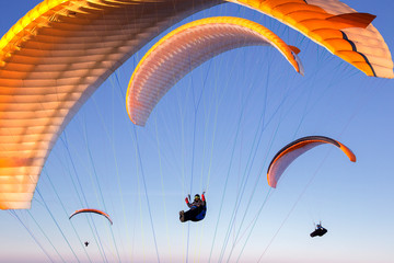 paragliders