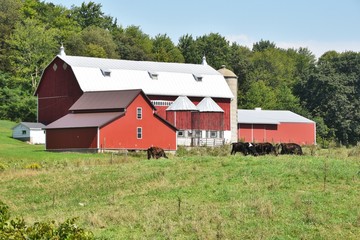 Fototapeta na wymiar Farm Buildings 
