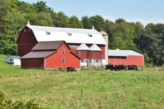 Farm Buildings 