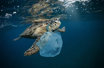Foto op Canvas Wereldwijd probleem onder water met plastic afval © Jag_cz