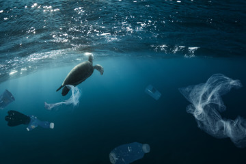 Naklejka premium Underwater global problem with plastic rubbish