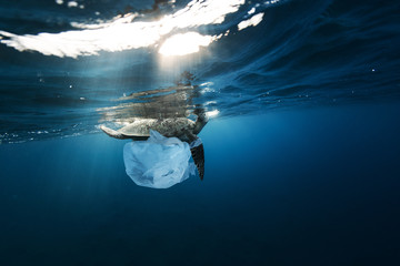 Underwater global problem with plastic rubbish