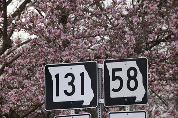 Road Sign
