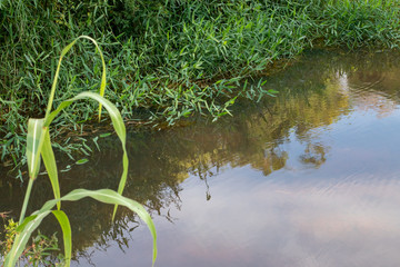 natureza lagos e paisagens