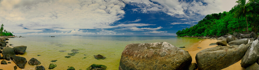Fototapeta na wymiar Panorama, view of the wild beach and the ocean