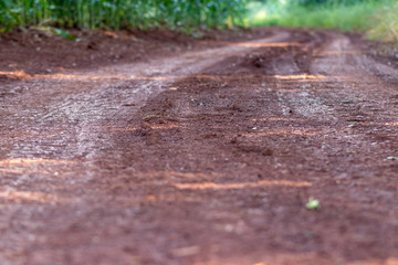 caminhos estradas paisagens e sol brilhando