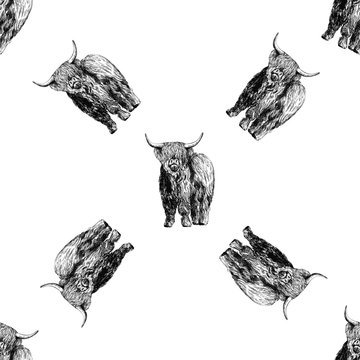 Seamless pattern of hand drawn sketch style Highland cattle isolated on white background. Vector illustration.